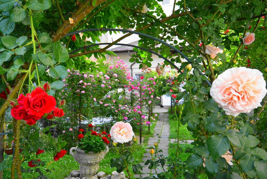 Residenza Dutzu-Boutique Hotel Braila Luaran gambar
