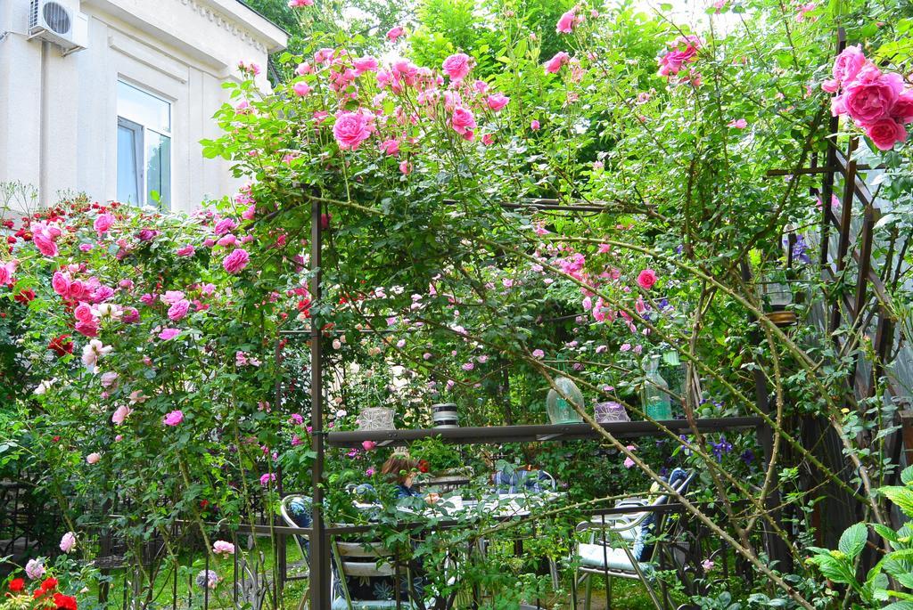 Residenza Dutzu-Boutique Hotel Braila Luaran gambar