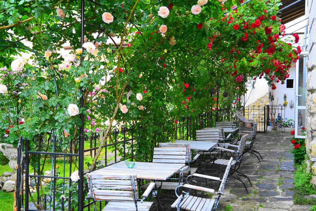 Residenza Dutzu-Boutique Hotel Braila Luaran gambar