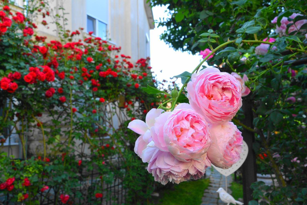 Residenza Dutzu-Boutique Hotel Braila Luaran gambar